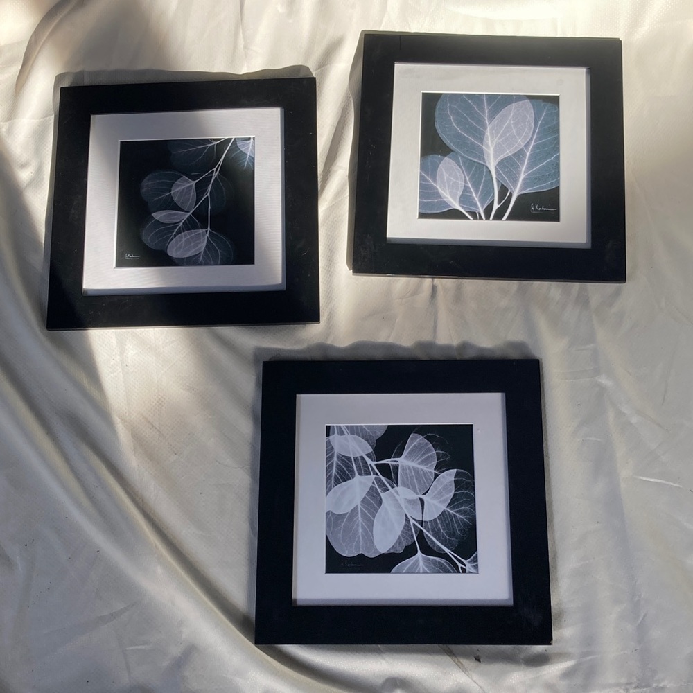 Set Of 3: Black and White Leaf Art Prints